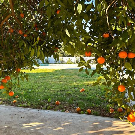 The Orange Garden Nafplio Exterior foto