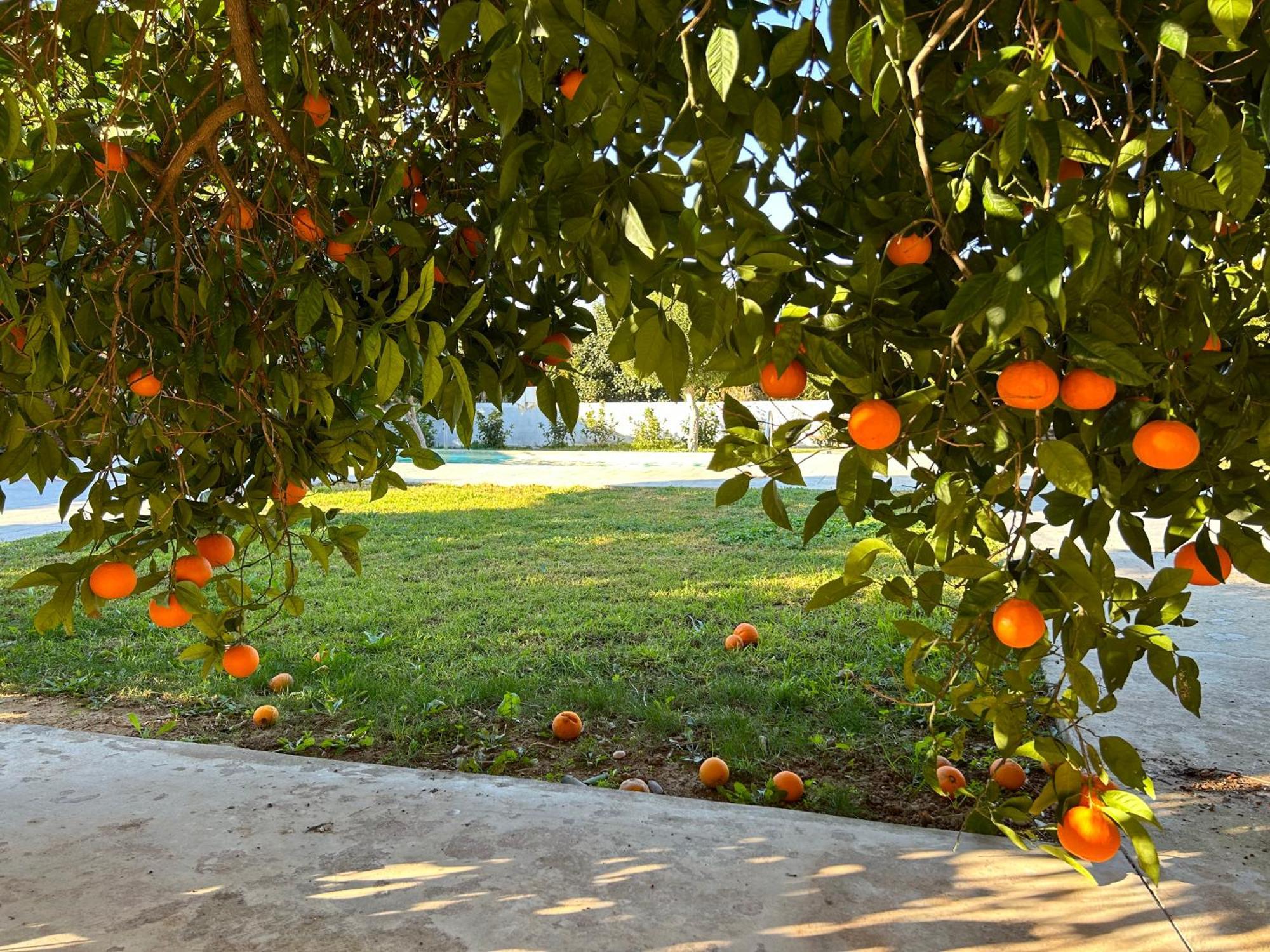The Orange Garden Nafplio Exterior foto